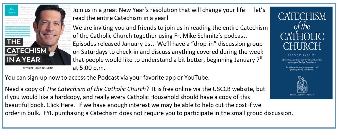 Catechism in a Year